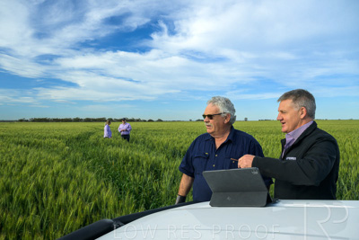 October 2022 / KANGAROO-FLAT-0490