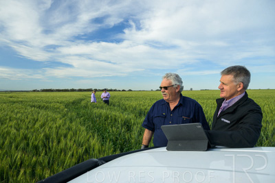 October 2022 / KANGAROO-FLAT-0491