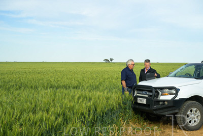 October 2022 / KANGAROO-FLAT-0502