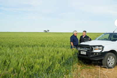 October 2022 / KANGAROO-FLAT-0504