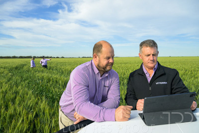 October 2022 / KANGAROO-FLAT-0509