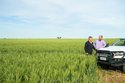 October 2022 / KANGAROO-FLAT-0514