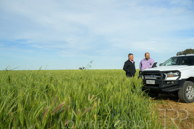 October 2022 / KANGAROO-FLAT-0516