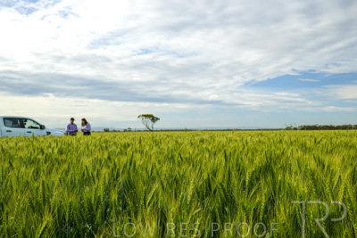 October 2022 / KANGAROO-FLAT-0518