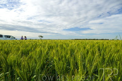 October 2022 / KANGAROO-FLAT-0520