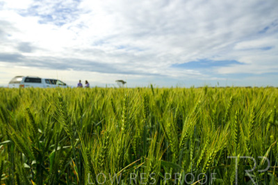 October 2022 / KANGAROO-FLAT-0521