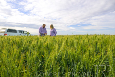 October 2022 / KANGAROO-FLAT-0528