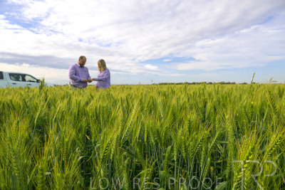 October 2022 / KANGAROO-FLAT-0529