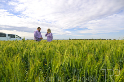 October 2022 / KANGAROO-FLAT-0530