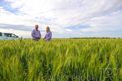 October 2022 / KANGAROO-FLAT-0531