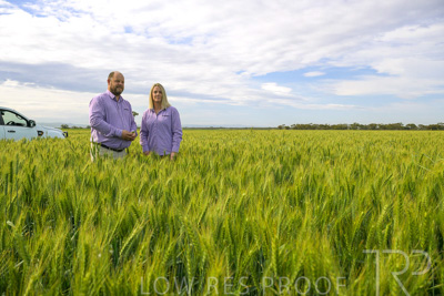 October 2022 / KANGAROO-FLAT-0534