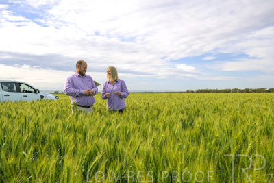 October 2022 / KANGAROO-FLAT-0535