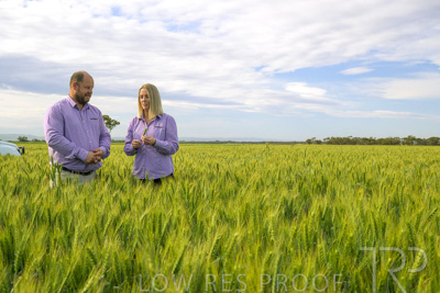 October 2022 / KANGAROO-FLAT-0537