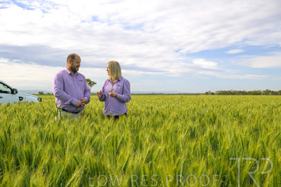 October 2022 / KANGAROO-FLAT-0539