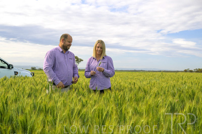 October 2022 / KANGAROO-FLAT-0541