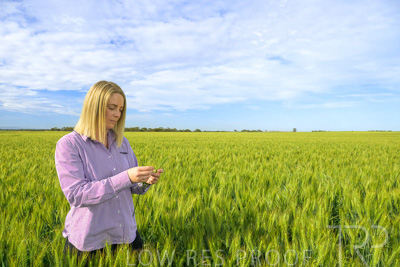 October 2022 / KANGAROO-FLAT-0544