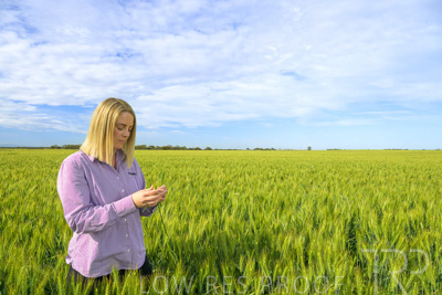 October 2022 / KANGAROO-FLAT-0545