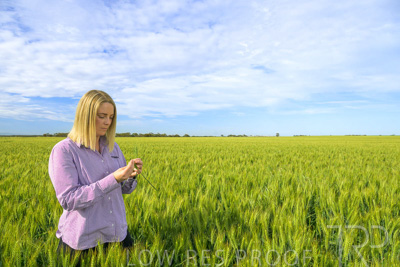 October 2022 / KANGAROO-FLAT-0546