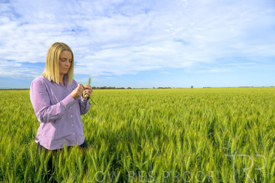 October 2022 / KANGAROO-FLAT-0549