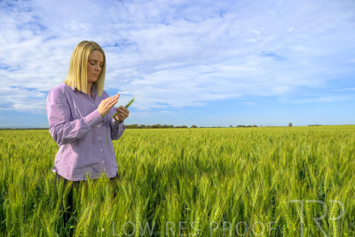 October 2022 / KANGAROO-FLAT-0553