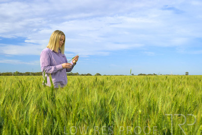 October 2022 / KANGAROO-FLAT-0554