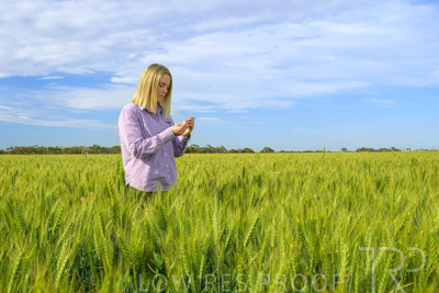 October 2022 / KANGAROO-FLAT-0555