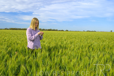 October 2022 / KANGAROO-FLAT-0556