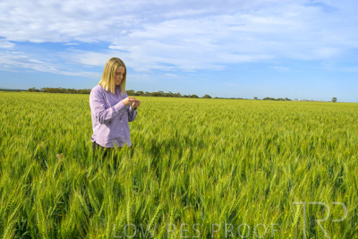 October 2022 / KANGAROO-FLAT-0557