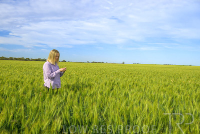 October 2022 / KANGAROO-FLAT-0558