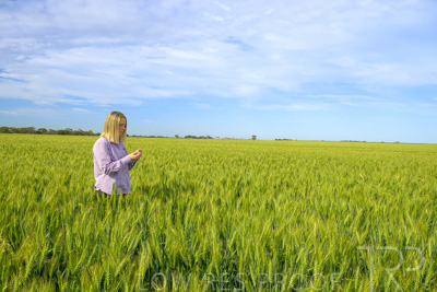 October 2022 / KANGAROO-FLAT-0559