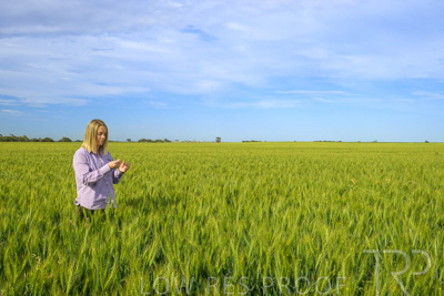 October 2022 / KANGAROO-FLAT-0561