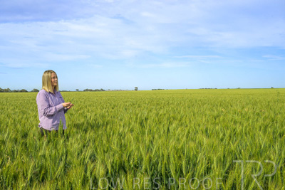 October 2022 / KANGAROO-FLAT-0563