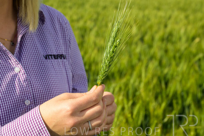 October 2022 / KANGAROO-FLAT-0564