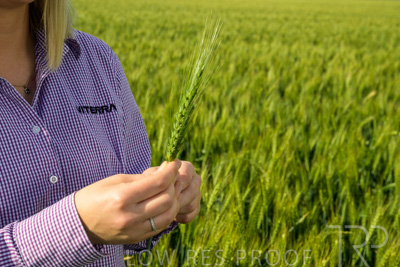 October 2022 / KANGAROO-FLAT-0571