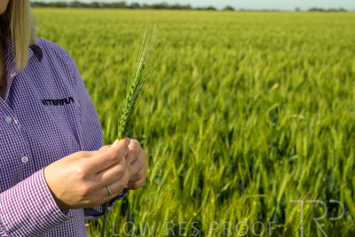 October 2022 / KANGAROO-FLAT-0572