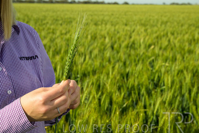 October 2022 / KANGAROO-FLAT-0574