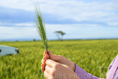 October 2022 / KANGAROO-FLAT-0575