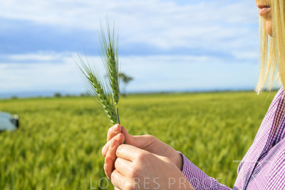 October 2022 / KANGAROO-FLAT-0576