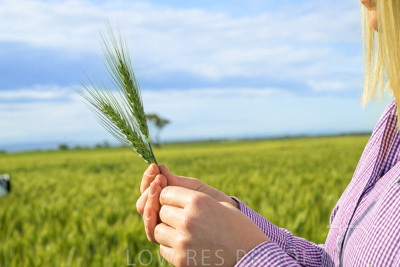 October 2022 / KANGAROO-FLAT-0578