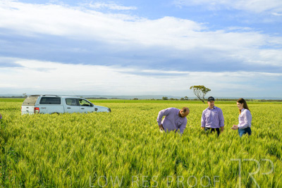 October 2022 / KANGAROO-FLAT-0601