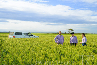 October 2022 / KANGAROO-FLAT-0602