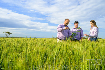 October 2022 / KANGAROO-FLAT-0614