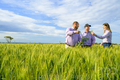 October 2022 / KANGAROO-FLAT-0616