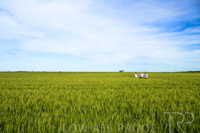 October 2022 / KANGAROO-FLAT-0618