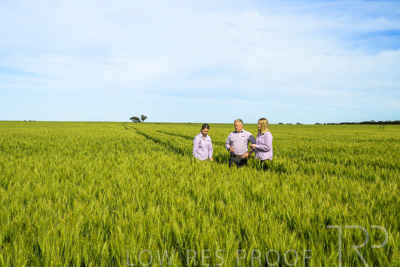 October 2022 / KANGAROO-FLAT-0625