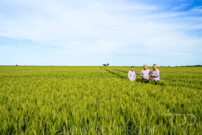 October 2022 / KANGAROO-FLAT-0628