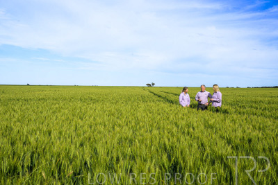 October 2022 / KANGAROO-FLAT-0629