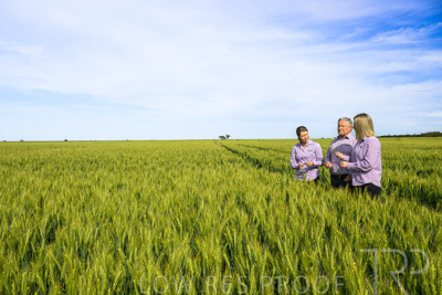 October 2022 / KANGAROO-FLAT-0632