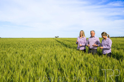 October 2022 / KANGAROO-FLAT-0635