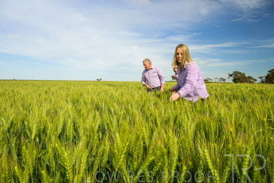 October 2022 / KANGAROO-FLAT-0654